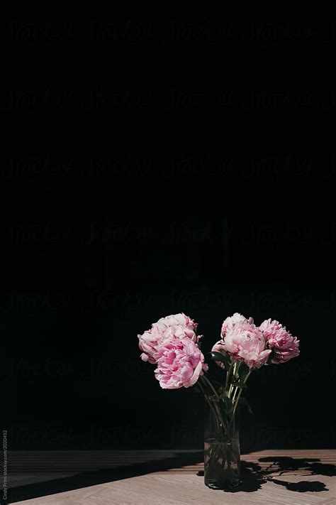 A Glass Vase With Pink Peony Flowers Del Colaborador De Stocksy Cindy Prins Stocksy