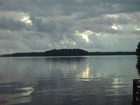 Lake Talquin Gadsden County Florida Fishing Lakes
