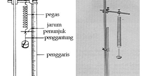 Teori singkat k merupakan konstanta pegas atau koefisien elastisitas pegas atau ukuran kelenturan pegas. Laporan Praktikum Fisika Hukum Hooke - Seputar Laporan