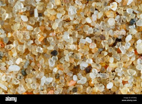 Close Up Of Grains Of Sand Stock Photo Alamy
