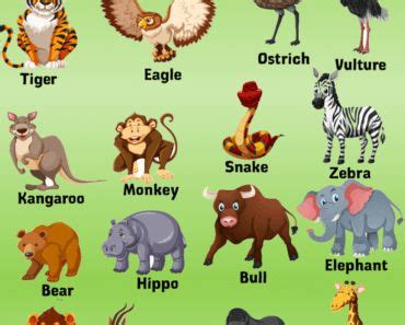 Animals Archives - English Grammar Here | Animals name list, Animals