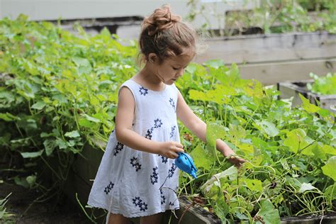 Gardening With Kids Promoting Healthy Eating And Responsibility