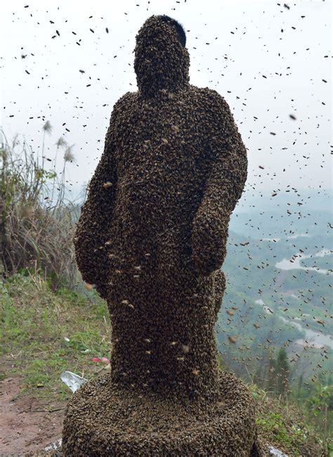 Beekeeper Creates Coat Of Living Bees
