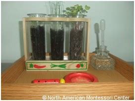 Is a montessori preschool right for your child? June 2011 - NAMC Montessori Teacher Training Blog