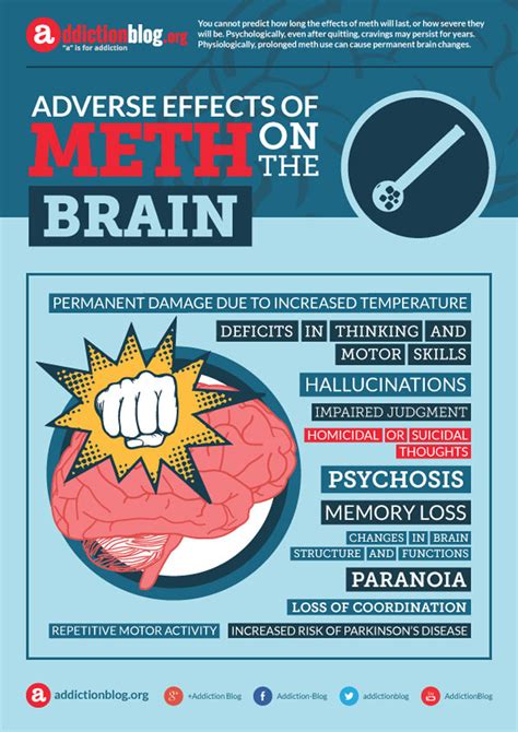 Adverse Effects Of Meth On The Brain Infographic