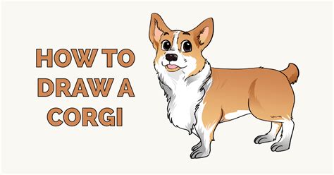 How To Draw A Corgi Step By Step