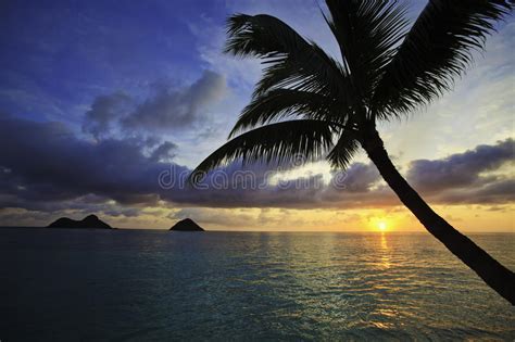 Sunrise In Hawaii Stock Photo Image Of Pacific Tropics 35466424