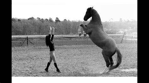 If You Have Gained The Trust Of A Horse Youve Won A Friend For Life