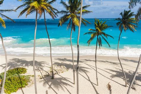 Bottom Bay Tropical Beach In Barbados Stock Image Image Of Idyllic Paradise 236876213