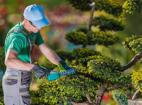 Maybe you would like to learn more about one of these? Gardener Prices | UK Gardening Services Costs | Checkatrade Blog
