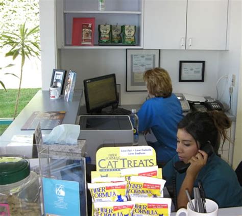 About Our Mission Viejo Animal Hospital Veterinary Services