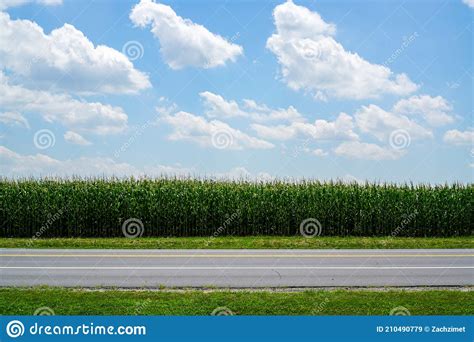 Road And Corn Field With Clouds In A Blue Sky Stock Image Image Of