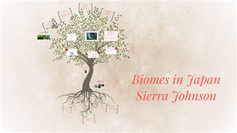 Biomes In Japan By Sierra Johnson On Prezi