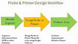 Free Primer Design Software Pictures