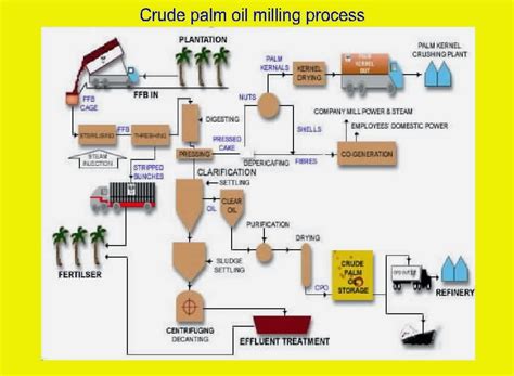 Petroleum refining processes explained simply. buy pure high quality of refined, bleached, deodorized and ...