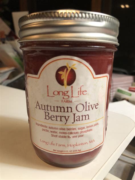 Made more autumn olive jam. Autumn Olive Berry Jam (8 oz) | Long Life Farm