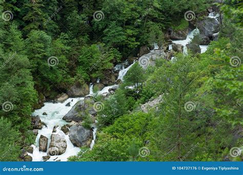Mountain River In The Forests Of Abkhazia Stock Photo Image Of