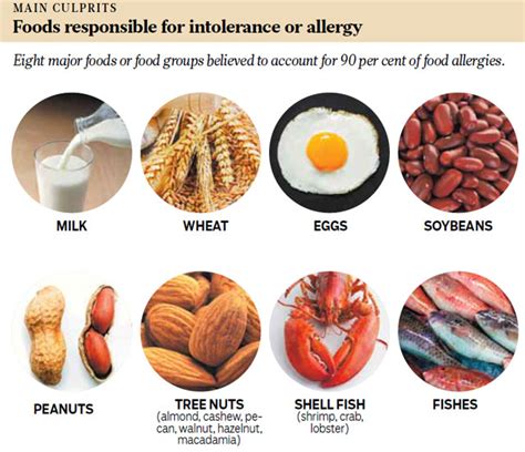 Can Food Allergies Cause Speech Disorders Ear Infections Caused By
