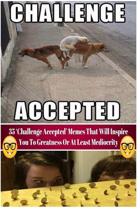 35 ‘challenge Accepted Memes That Will Inspire You To Greatness Or At