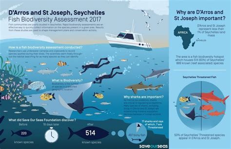 Sosf Biodiversity Infographic Save Our Seas Foundation