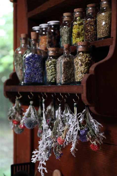 Creating Your Home Herbal Apothecary Witch Room Apothecary Decor Witch Decor