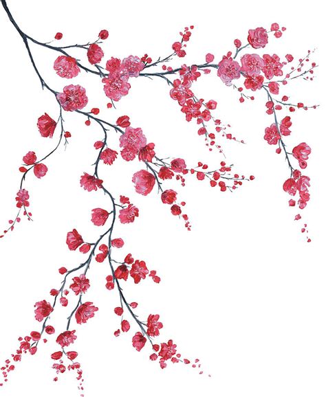 Japanese Cherry Blossom Branch Painting By Jan Matson Pixels
