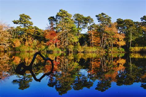 Autumn Tree Reflections Stock Image Image Of Lake Reflection 27327929