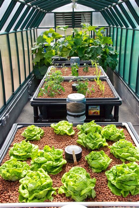 30 Affordable Diy Small Greenhouse Ideas Backyard Aquaponics Diy