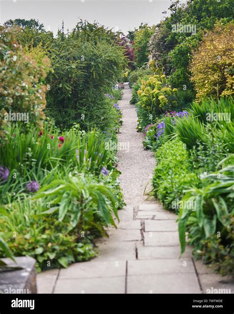 Plantas De Flores Largas Fotos E Imágenes De Stock Alamy