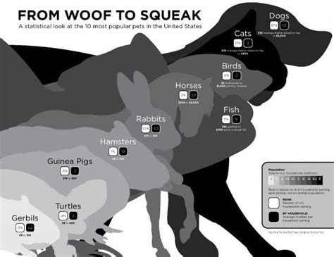From Woof to Squeak: Top 10 Most Popular Pets in the US ...