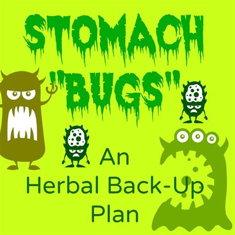 Stomach Bugs An Herbal Back Up Plan Stomach Bug Survival Mom