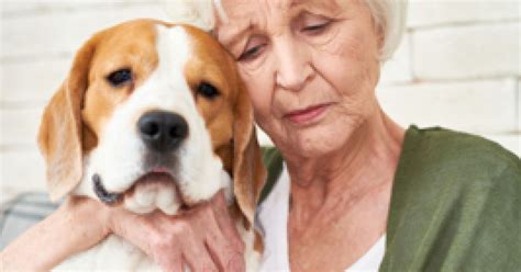 The Sad Truth About Pet Ownership And Depression Psychology Today