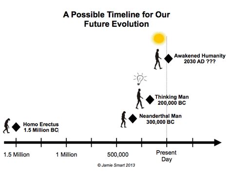 Future Human Evolution Timeline