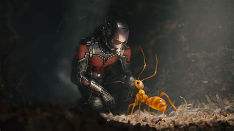 Ant Man Movie Hd Movies 4k Wallpapers Images Backgrounds Photos