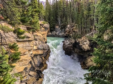 Sunwapta Falls Hike In Jasper National Park