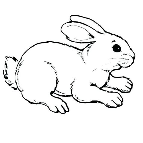 Malvorlagen von Minecraft Bunny Rabbit | Bunny coloring pages, Rabbit