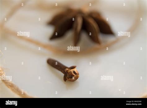 Anise Tree Seeds As Spices On A White Background Stock Photo Alamy