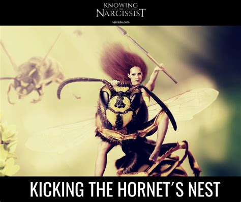 Kicking The Hornet´s Nest Hg Tudor Knowing The Narcissist The