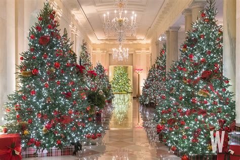 White House Christmas 2021 Decorations Christmas Tree 2021