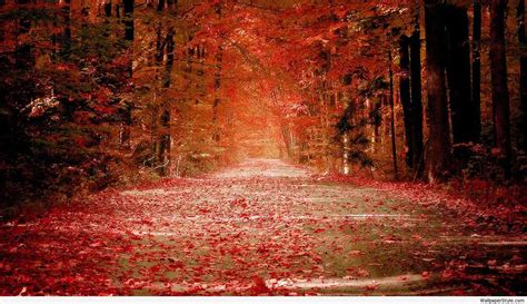 Autumn Nature Desktop Wallpapers Top Free Autumn Nature Desktop