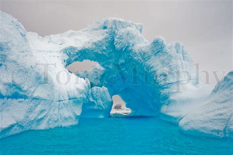 Iceberg Antarctica Melt Pattern Tom Murphy Photography