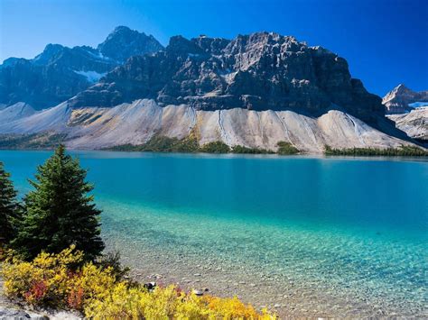 Lake With Clear Blue Water Rocky Mountains Pine Trees Canada Beautiful ...