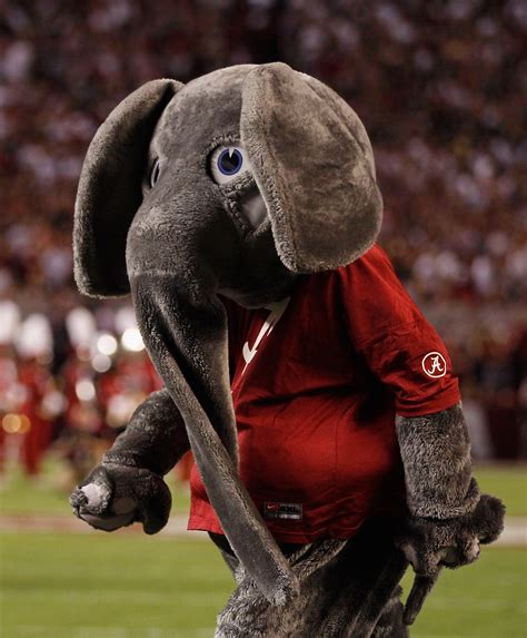The 50 Best Mascots In College Football News Scores Highlights