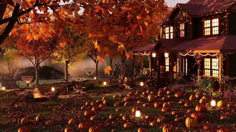 Cozy Pumpkin Patch Ambience Autumn Farm Nature Sounds For Relaxation