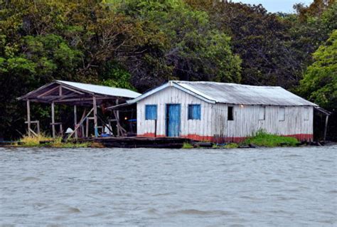 Amazon Rainforest Manaus Brazil Travel Guide Encircle Photos