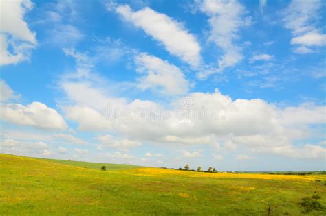 Green Meadow And Blue Sky In Central California Stock Image Image Of