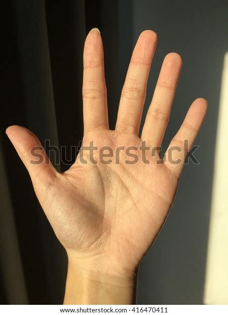 Left Hand Palm Stock Photo 416470411 Shutterstock