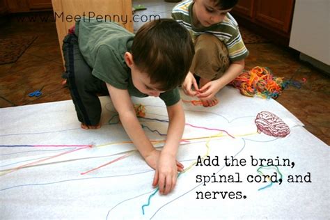 Nervous System Lesson With Printable Game Meet Penny