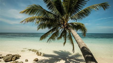 Desroches Island Resort Photo Gallery Four Seasons Seychelles