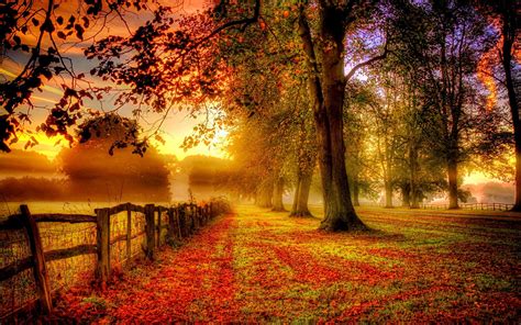 Wallpaper Park Autumn Scenery Red Leaves Road Fence 1920x1200 Hd